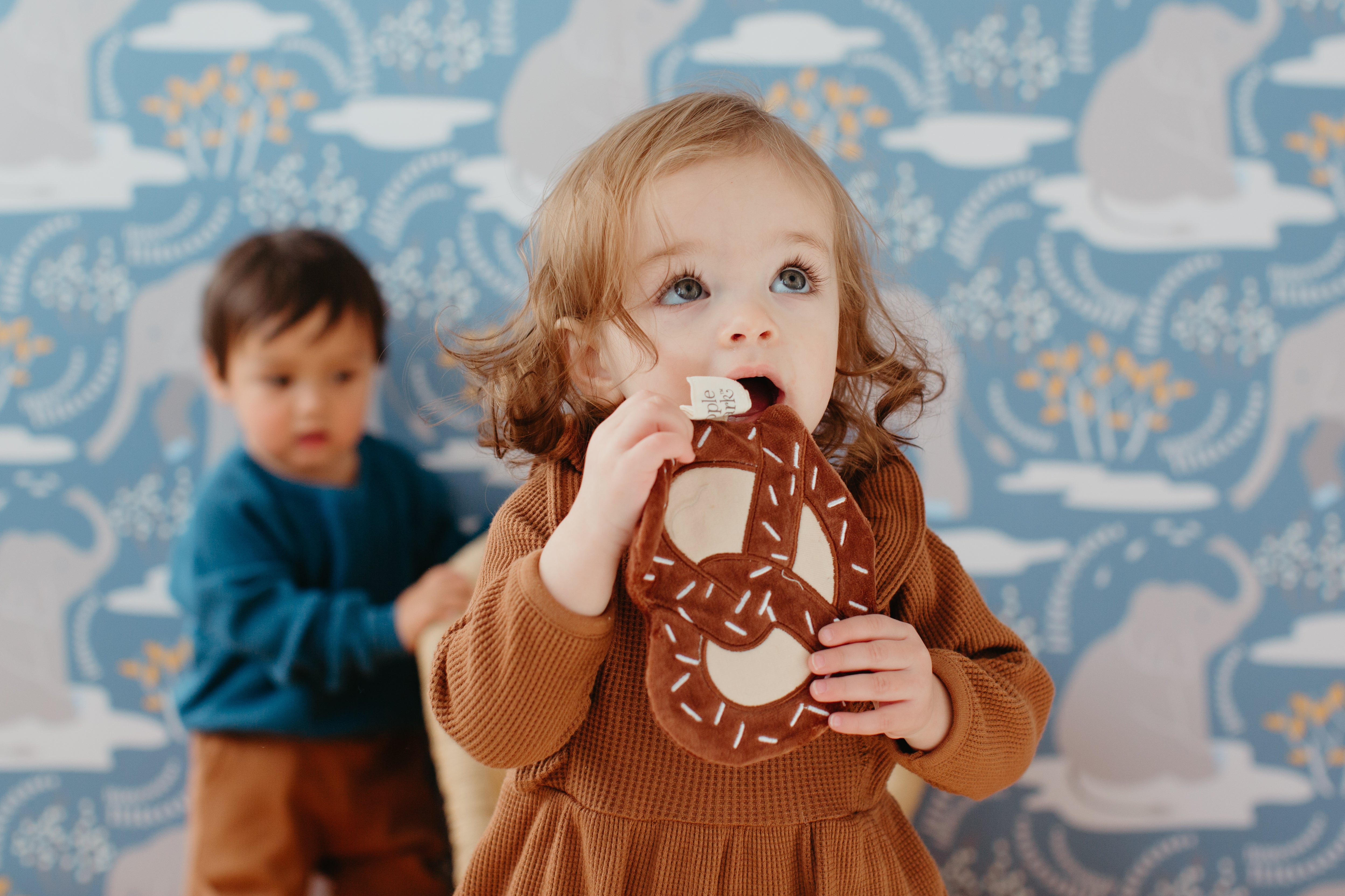 Pretzel Crinkle Blankie