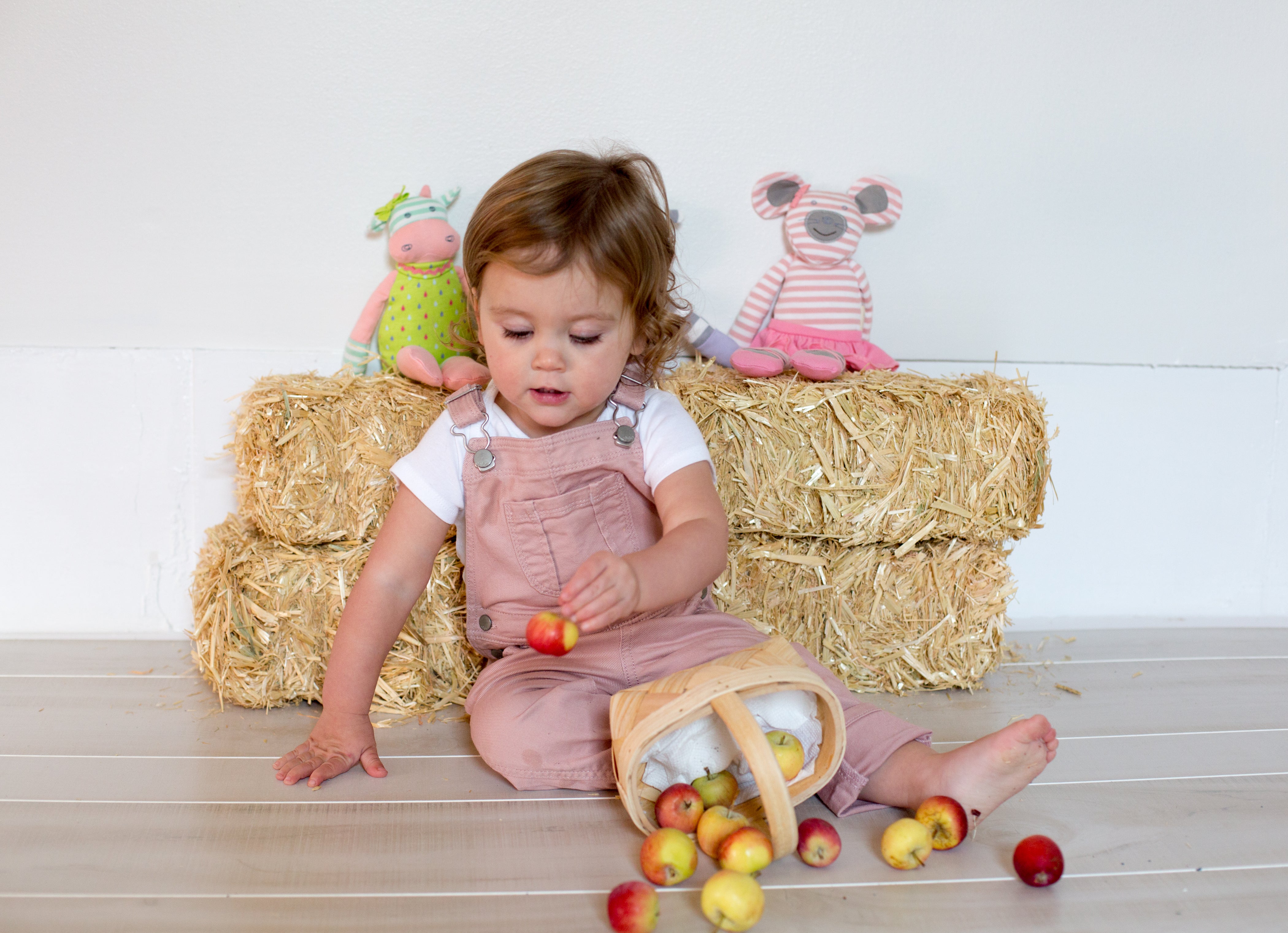 Ballerina Mouse - Plush