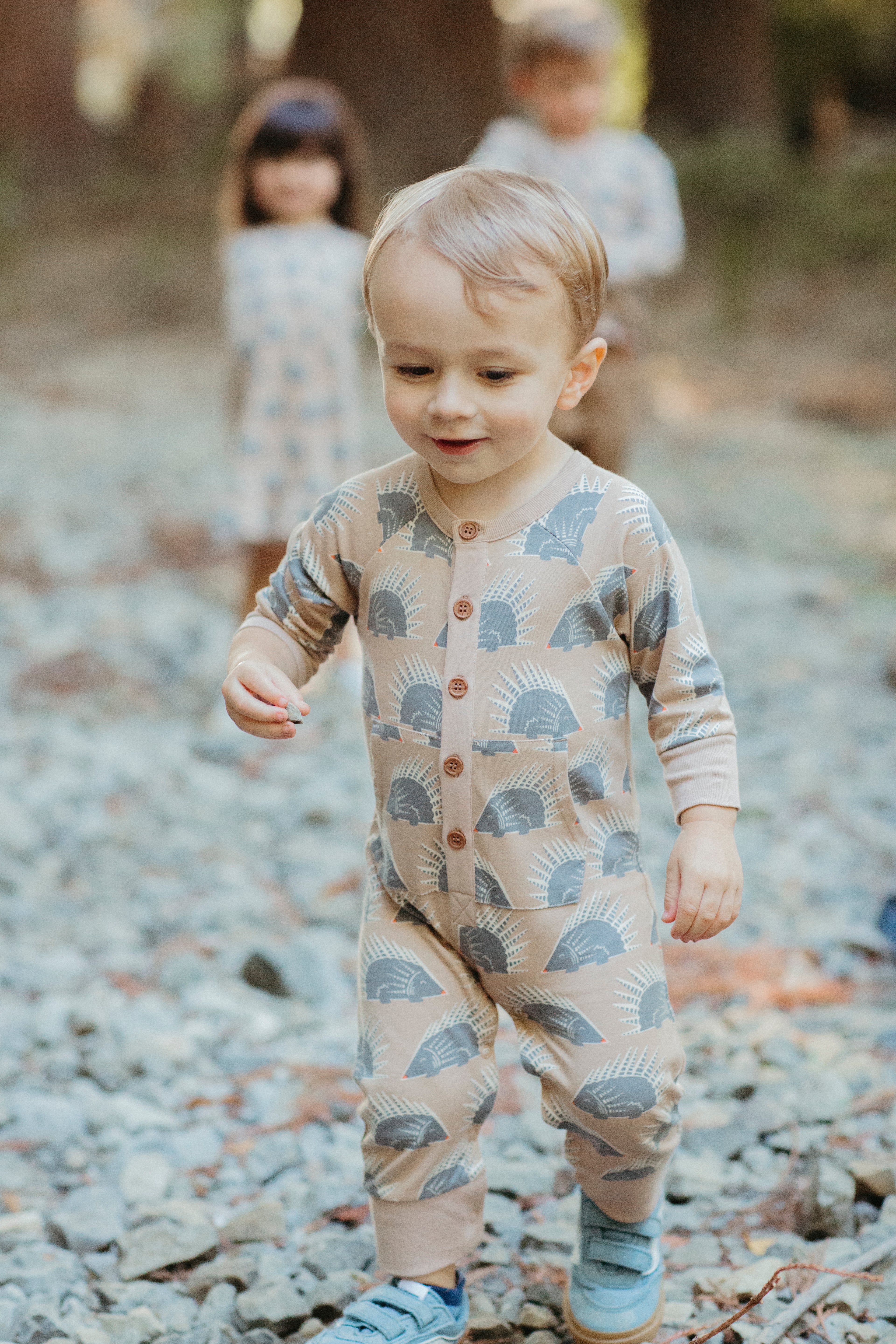 The Gravenstein 5-Piece Capsule Set