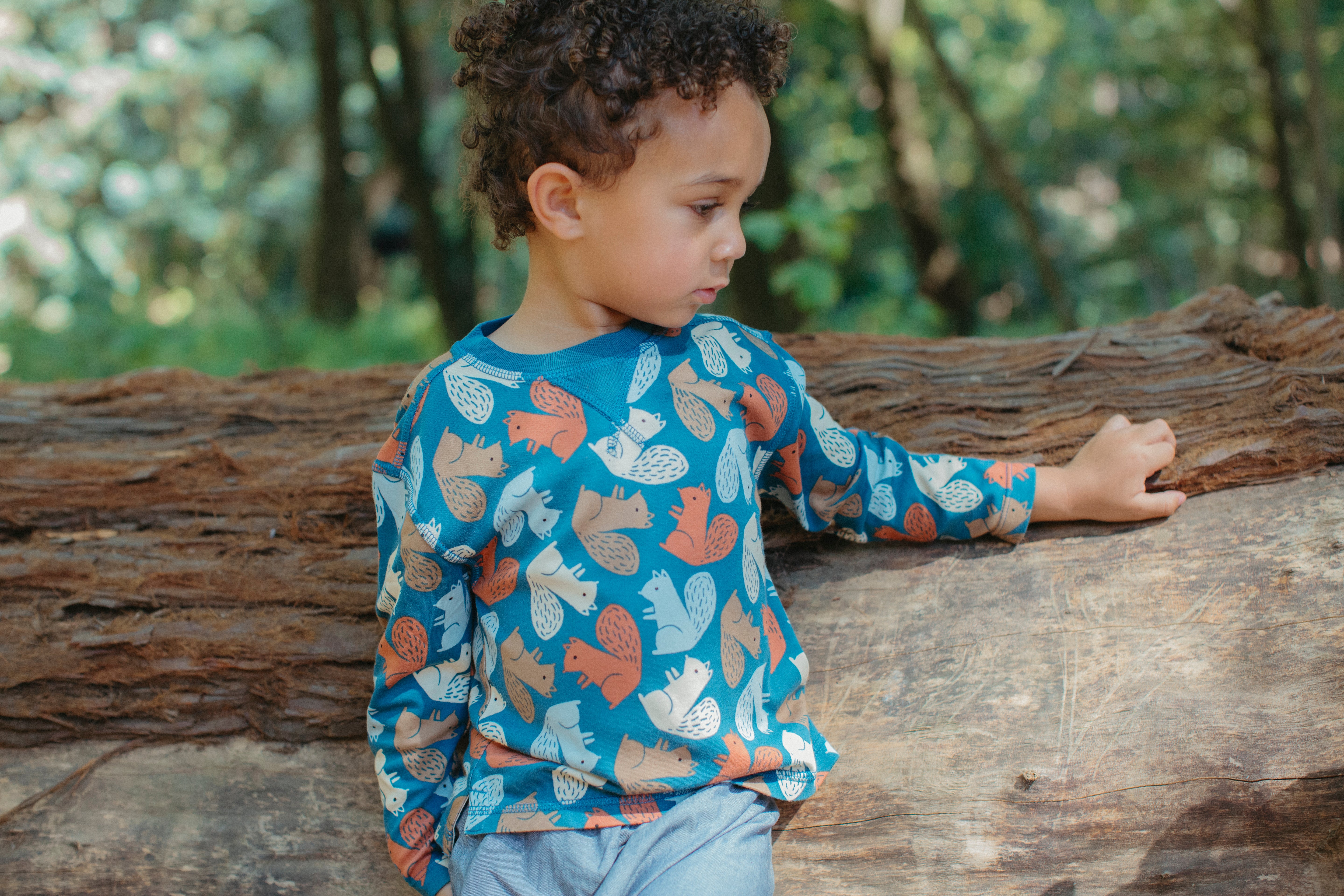 The Gravenstein 5-Piece Capsule Set