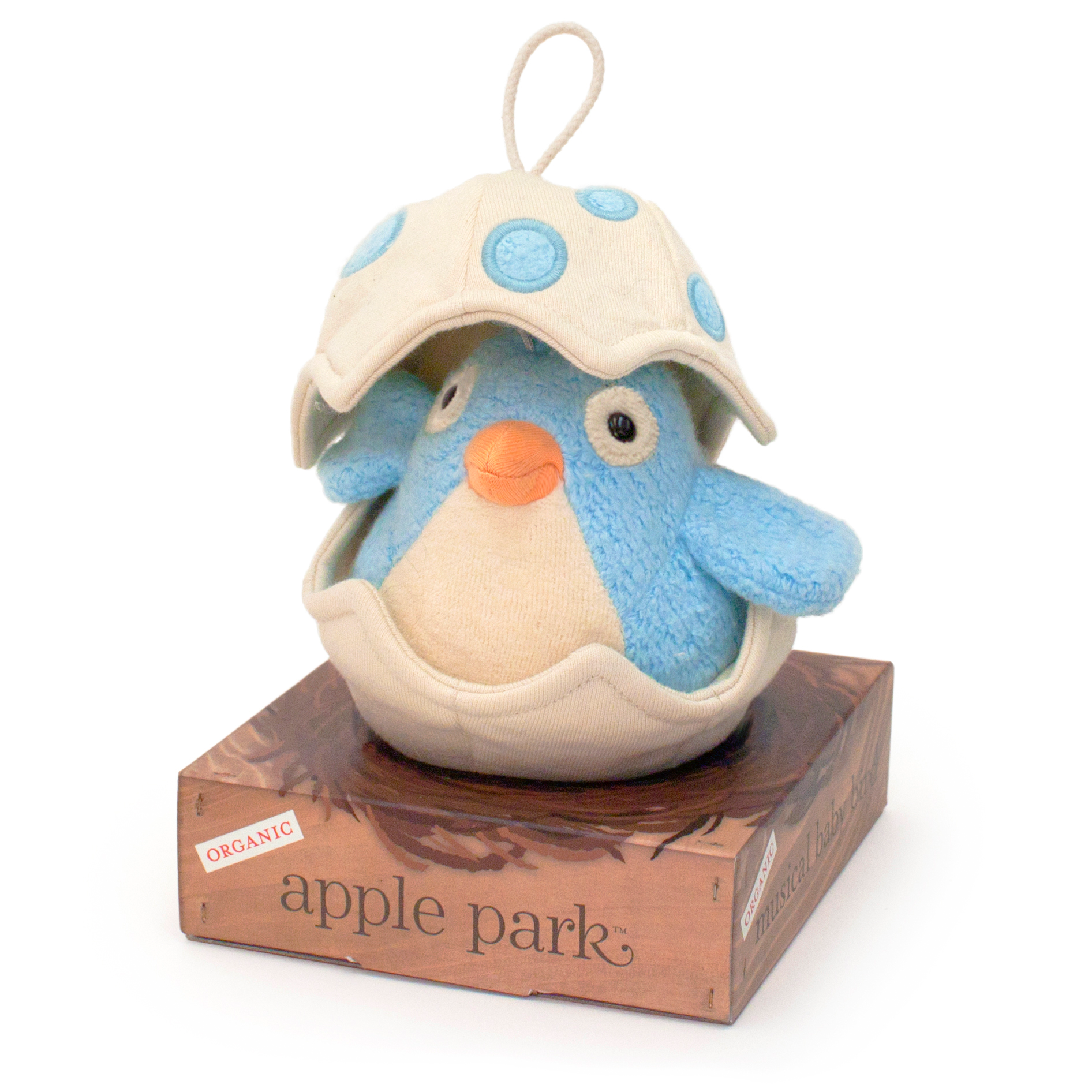 Musical Baby Bird Pull Toy - Blue
