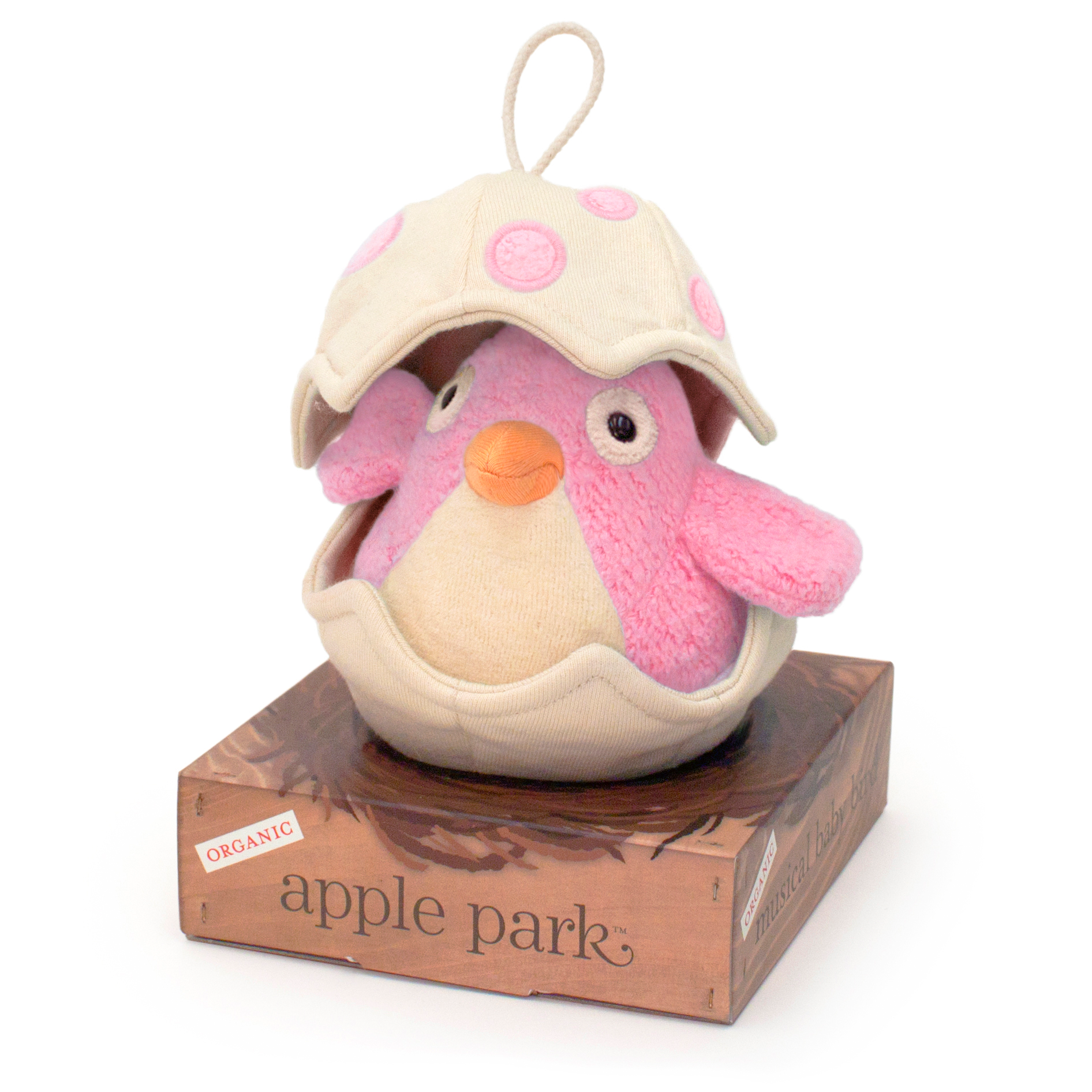 Musical Baby Bird Pull Toy - Pink