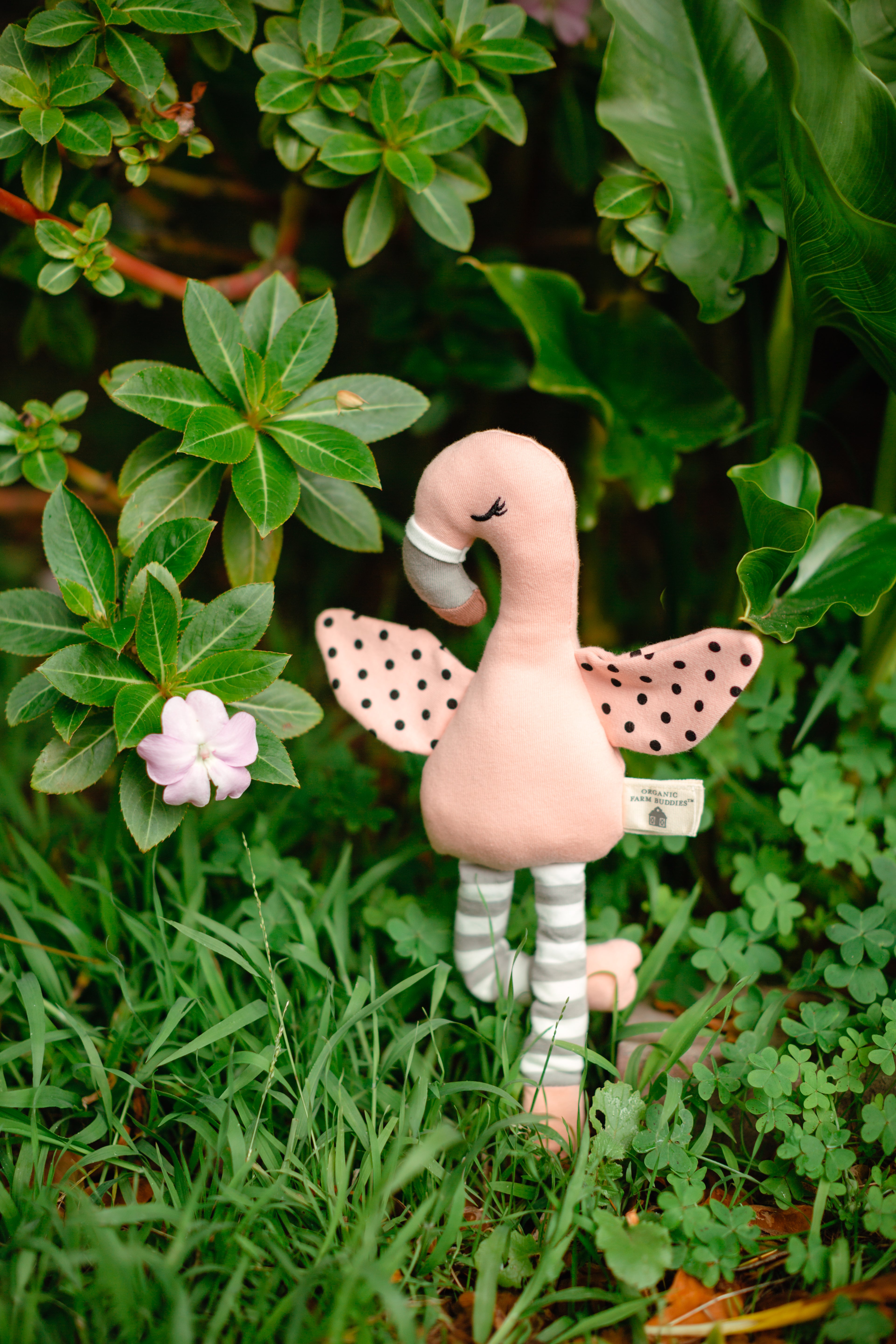 Franny Flamingo - Plush